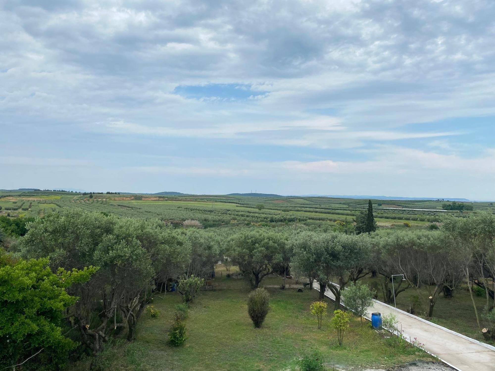Mediterranean Escape Flogita Exteriér fotografie