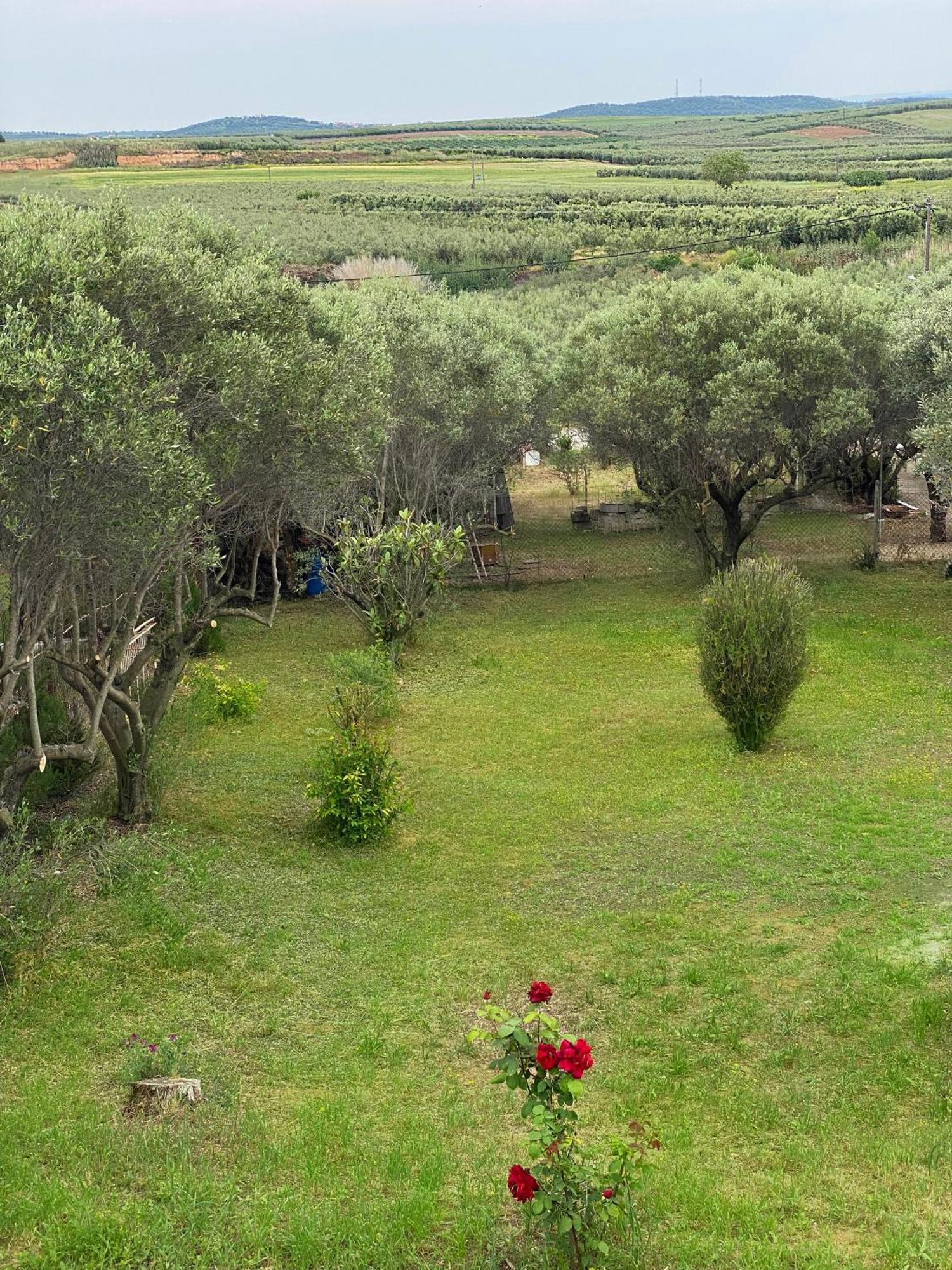 Mediterranean Escape Flogita Exteriér fotografie